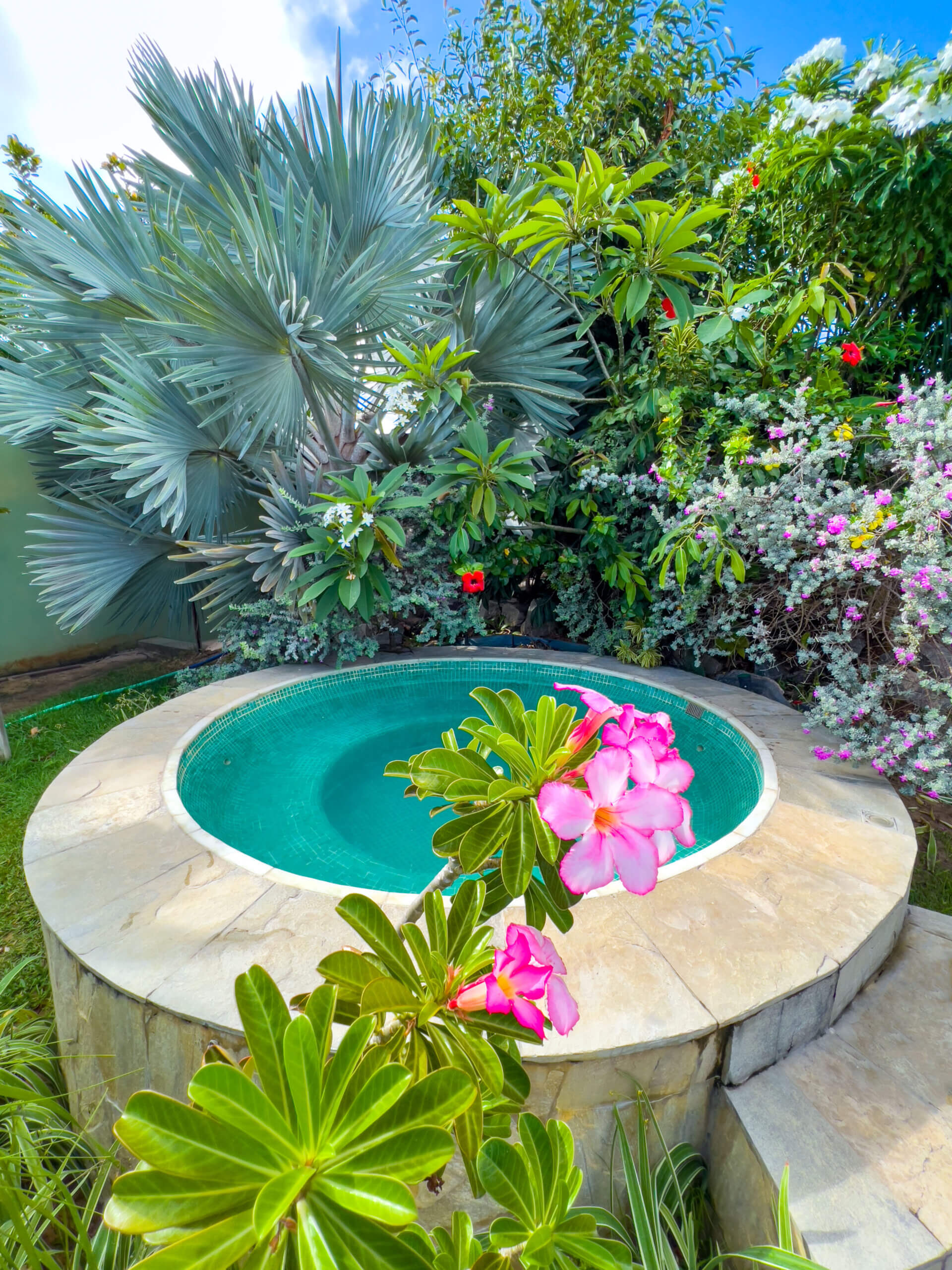 4448EAA0-0165-405A-8C63-91D3D10CC63D